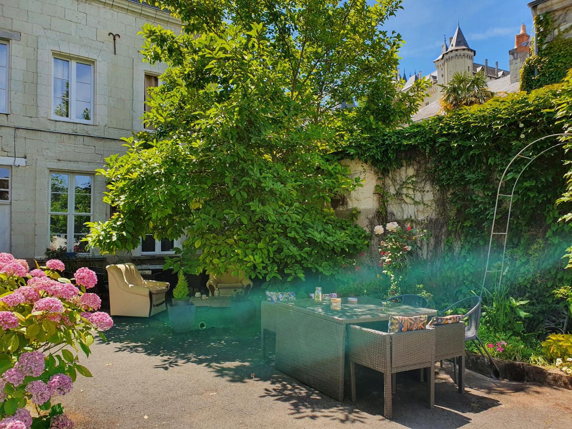 Vue Sur Chateau Et Loire Saumur Buitenkant foto